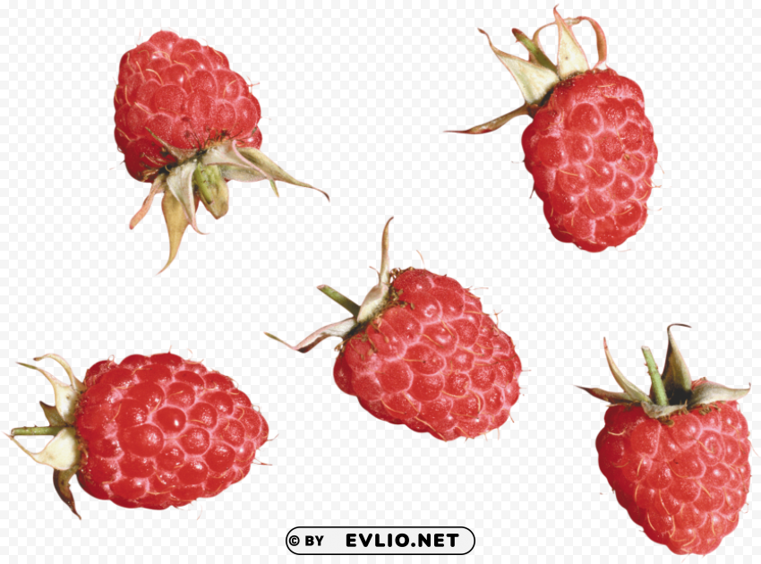 raspberry CleanCut Background Isolated PNG Graphic