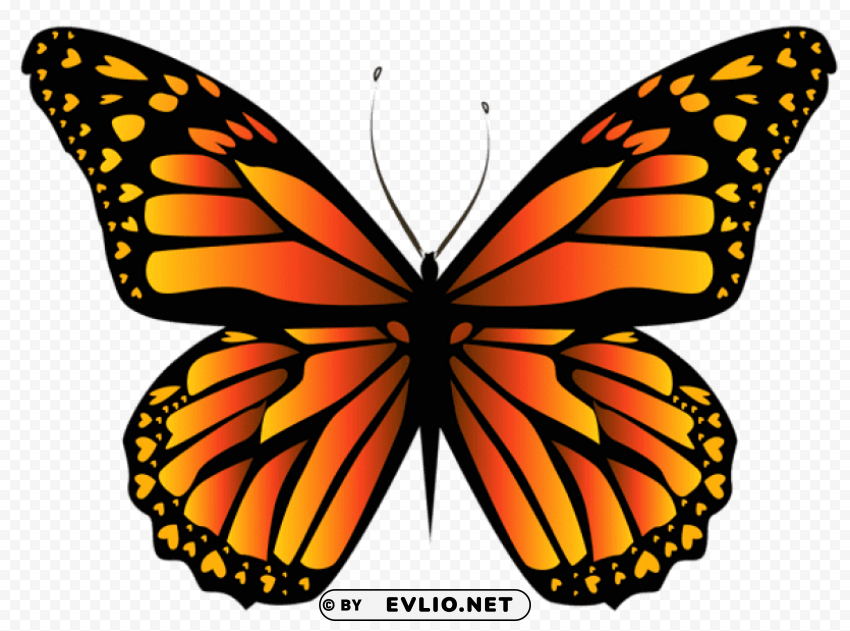 orange butterfly clipar PNG images with transparent elements pack