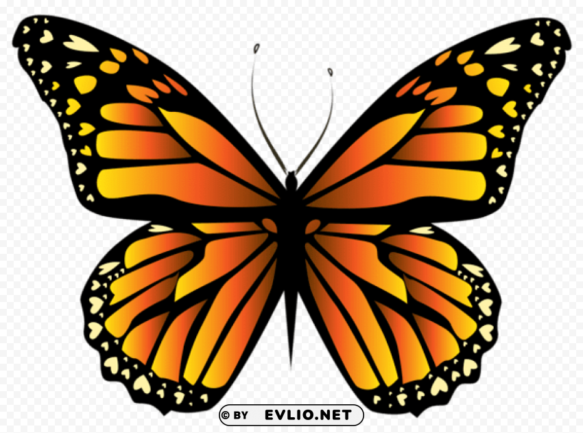 orange butterfly clipar Transparent PNG Isolated Graphic with Clarity