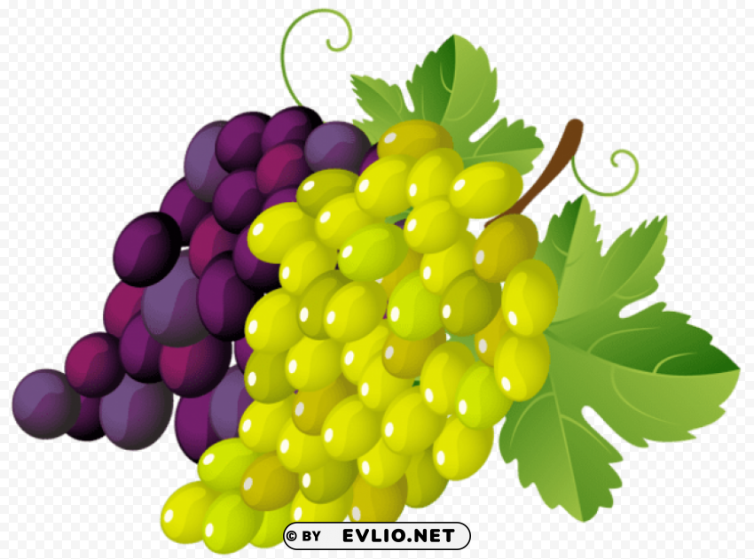 painted grapes Isolated Subject on HighQuality Transparent PNG