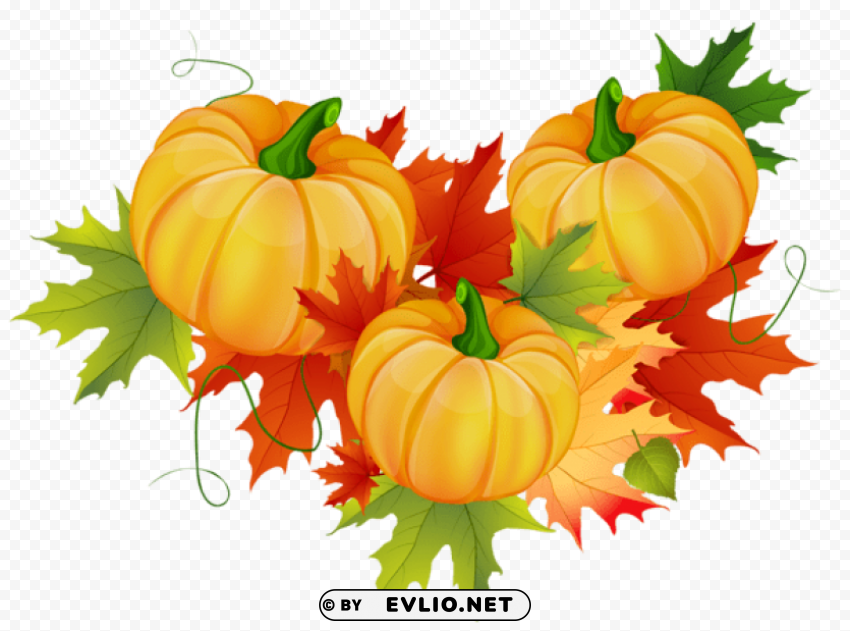 thanksgiving pumpkin decoration PNG clipart with transparency