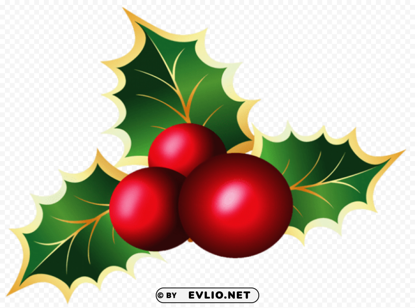  christmas mistletoe Transparent PNG images for graphic design