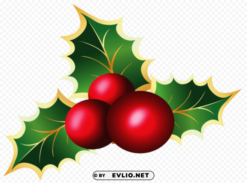  Christmas Mistletoe Transparent PNG Images For Graphic Design