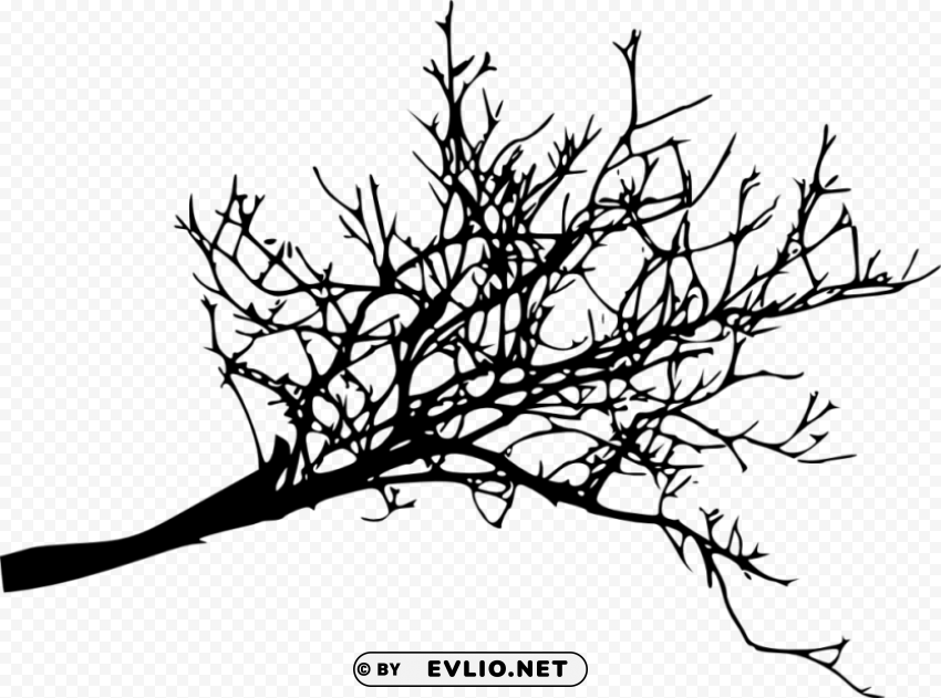 tree branches silhouette Isolated Artwork on Transparent Background