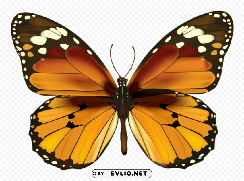 yellow butterfly PNG images with transparent canvas compilation