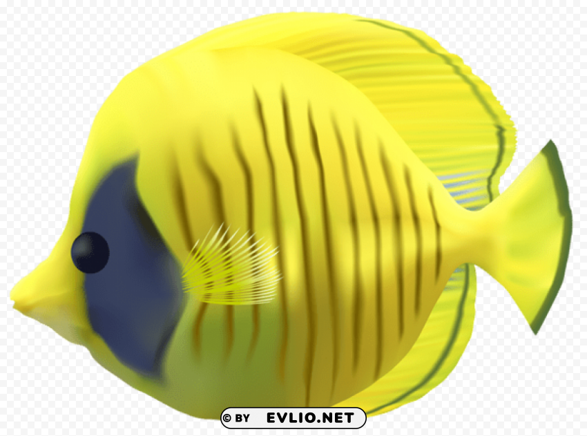 yellow fish transparent PNG with no background free download