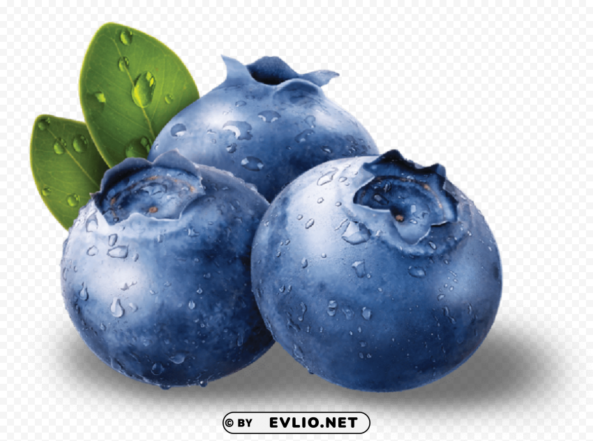 blueberries Clear background PNG clip arts