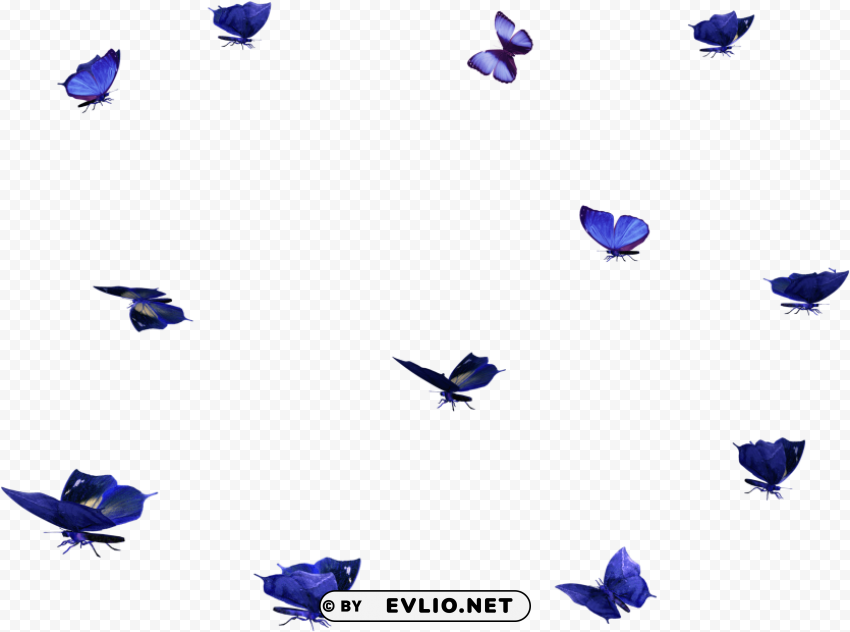 butterfly overlay Clean Background Isolated PNG Art PNG transparent with Clear Background ID 76b27227