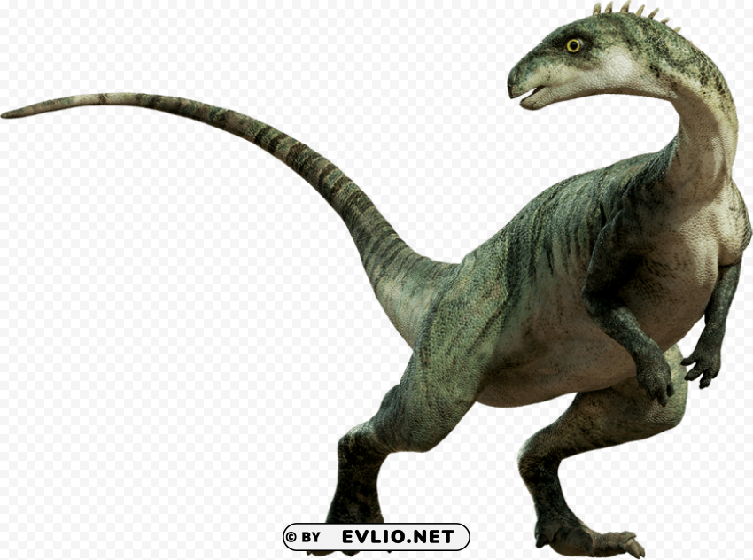 dinosaur standing PNG transparent photos comprehensive compilation
