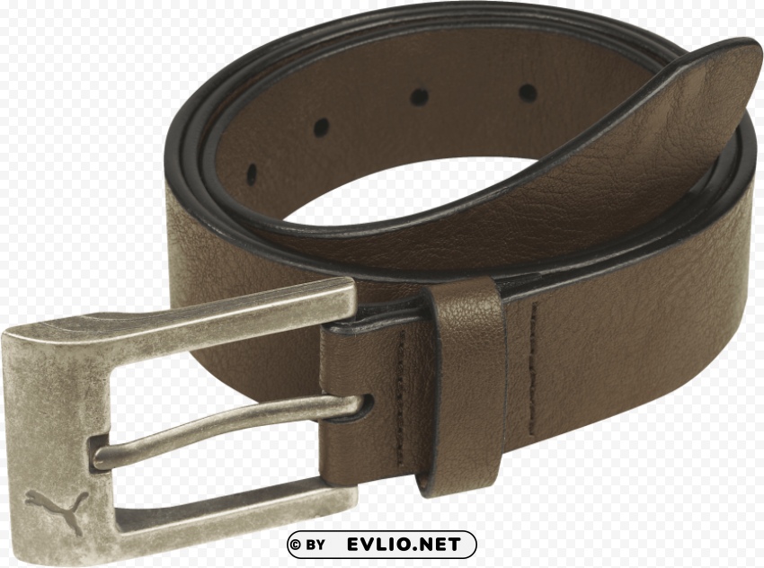 puma belt Isolated Graphic in Transparent PNG Format