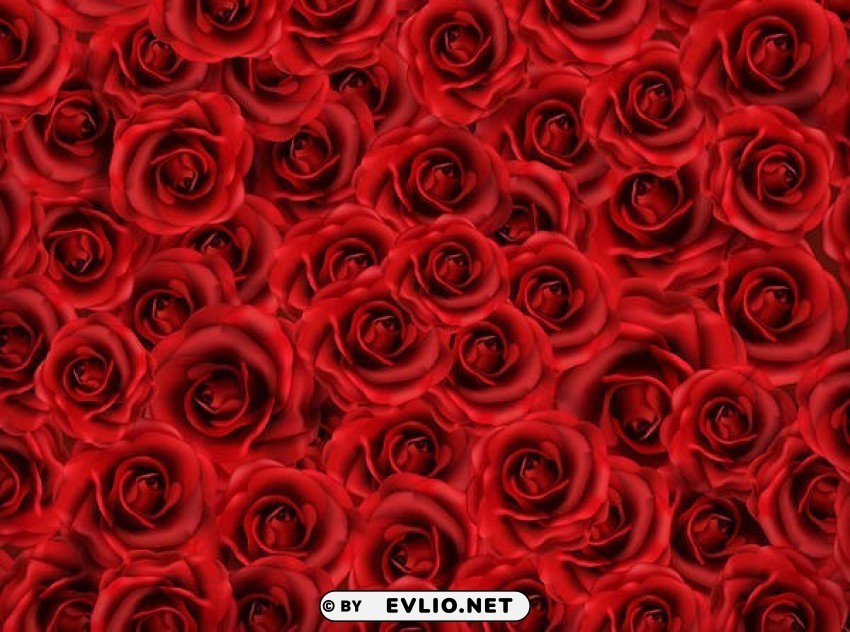 red roses Isolated Item in Transparent PNG Format