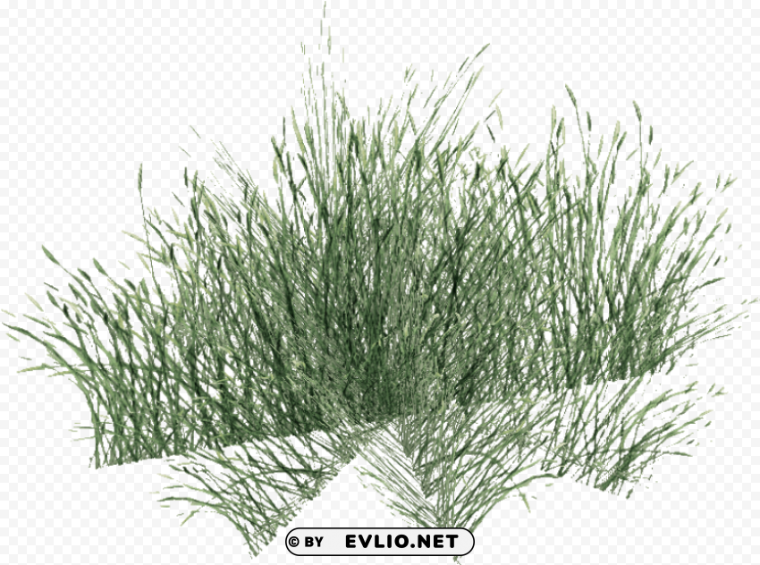 sweet grass HighQuality Transparent PNG Isolated Artwork