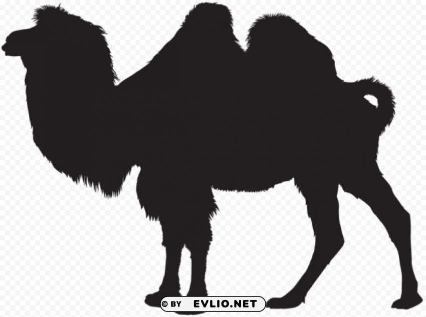 camel silhouette PNG images with clear backgrounds