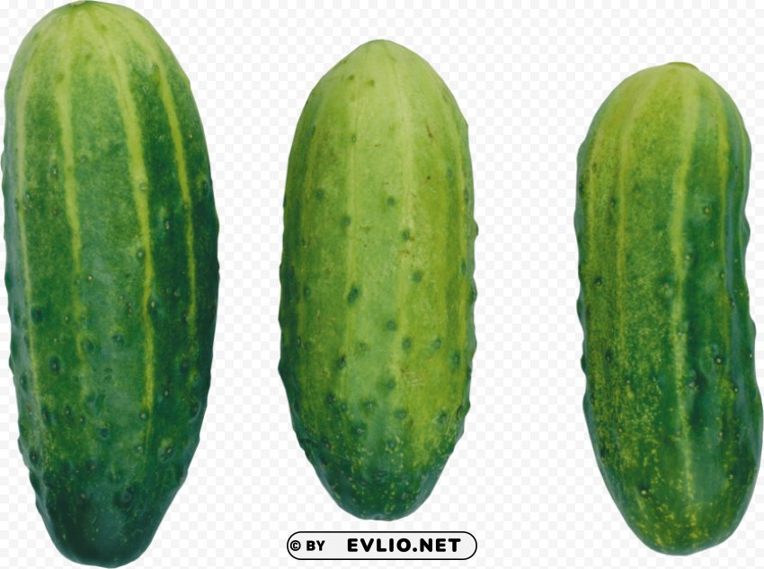cucumber HighQuality Transparent PNG Element PNG images with transparent backgrounds - Image ID 4e1f7131