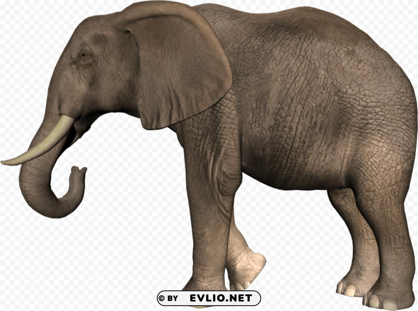 elephant PNG transparent designs png images background - Image ID d6101872