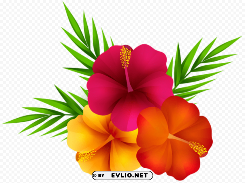 exotic flowers PNG for t-shirt designs