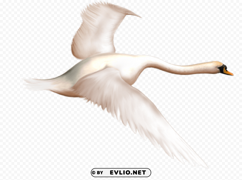 painted swan in flight free Clear Background PNG with Isolation