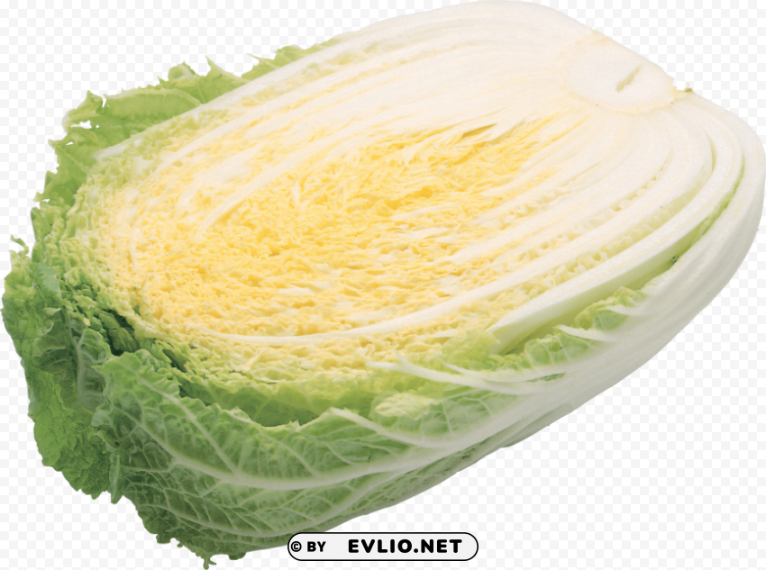 salad Transparent Cutout PNG Isolated Element