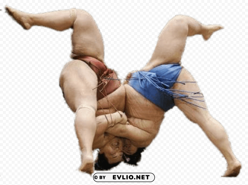 sumo wrestlers upside down Clear PNG image