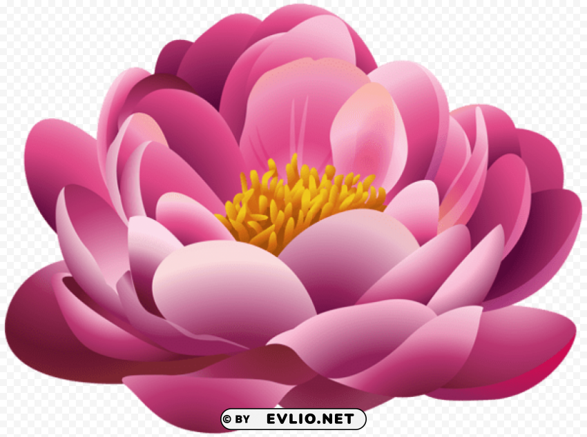 beautiful pink flower PNG graphics with transparency