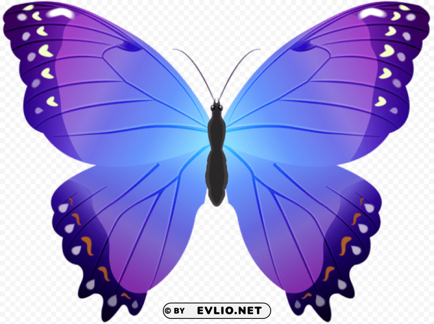 butterfly purple PNG images with alpha transparency wide selection