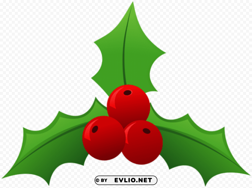 holly Free PNG images with transparent backgrounds
