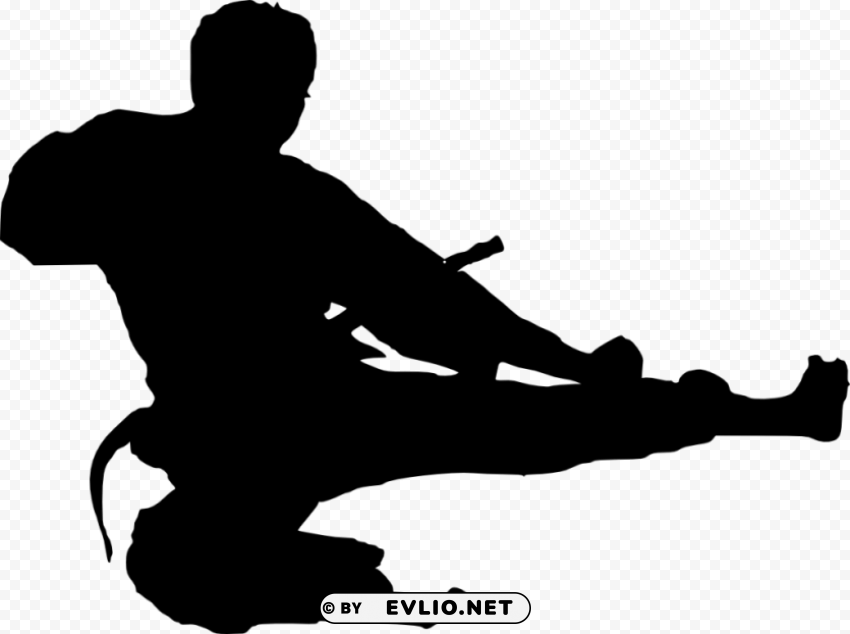 karate silhouette PNG images with transparent canvas assortment