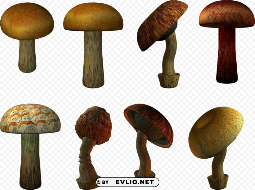mushroom PNG transparent photos library