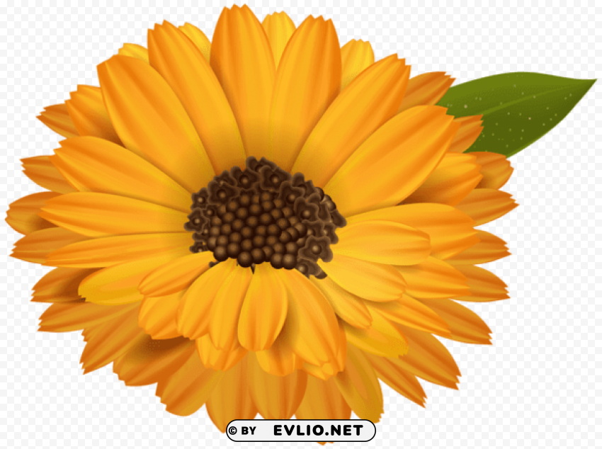 PNG image of orange flower transparent PNG graphics with a clear background - Image ID f398be75