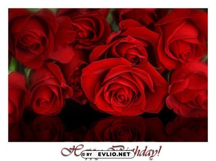 red roses happy birthday wallpaper Clean Background Isolated PNG Art