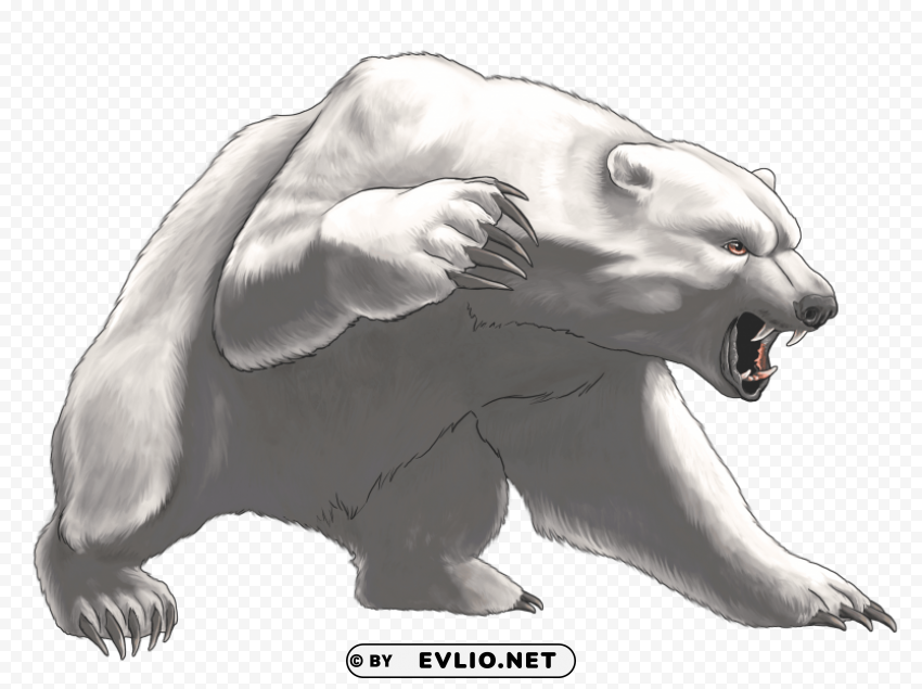angry white bear PNG Graphic Isolated on Clear Background Detail