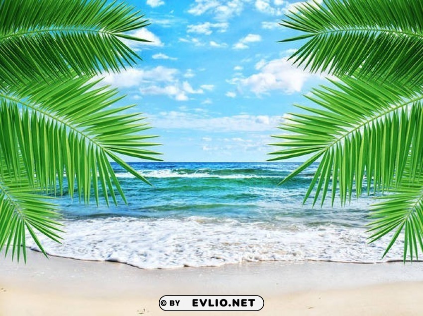 beach and palms backgroun High-quality PNG images with transparency