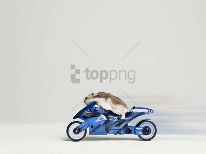 bike hamster rider wallpaper PNG with clear overlay