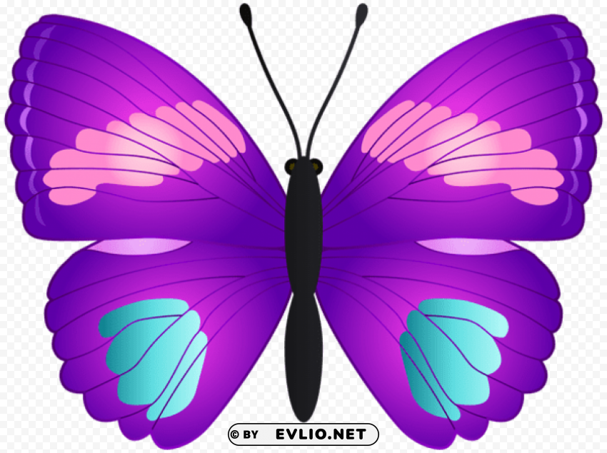 Butterfly PNG Images With Clear Backgrounds