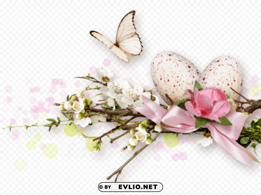 eggs Transparent PNG Isolated Item with Detail