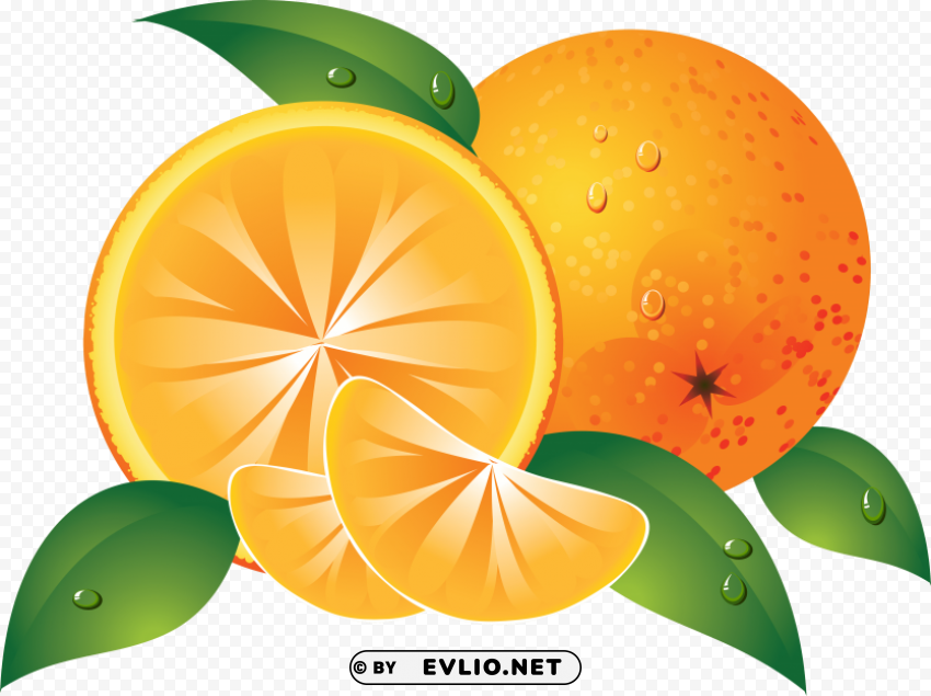 orange oranges Isolated Design in Transparent Background PNG clipart png photo - 881459d3