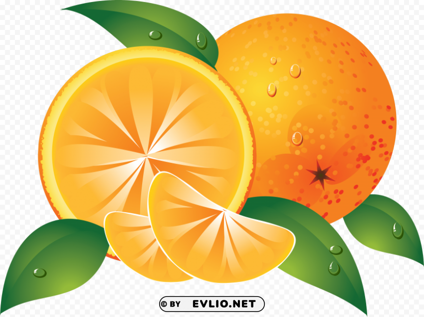 oranges Transparent PNG Isolated Item