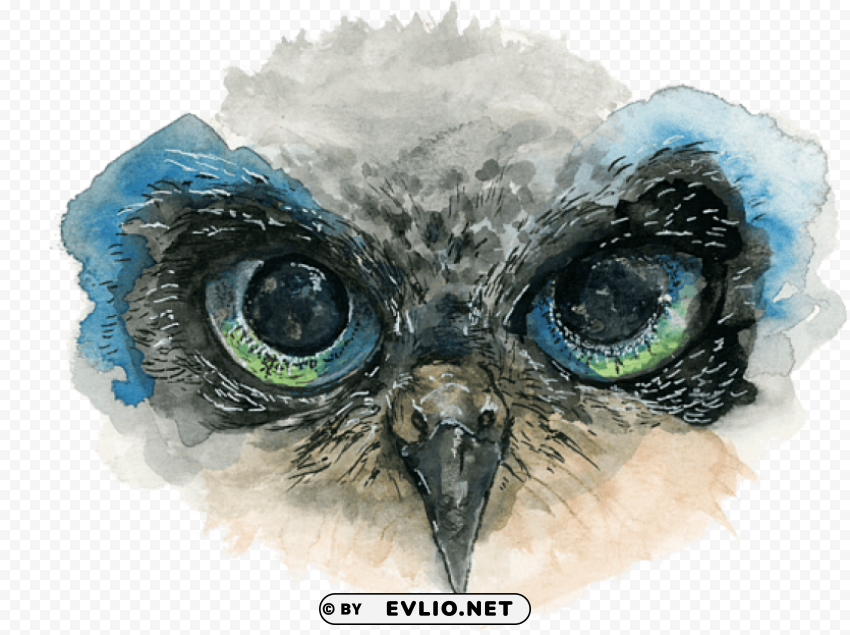 owl eyes drawing Isolated Graphic on HighQuality PNG PNG transparent with Clear Background ID 6b76b6ae