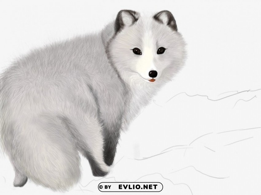 a fox arctic fox cut PNG pictures without background