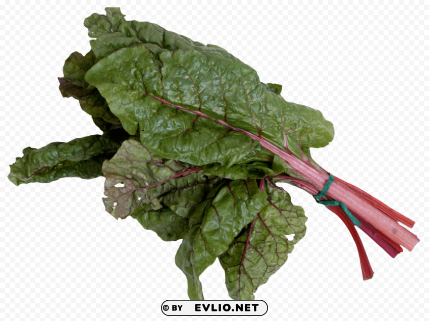 mangold or swiss chard Free download PNG with alpha channel extensive images