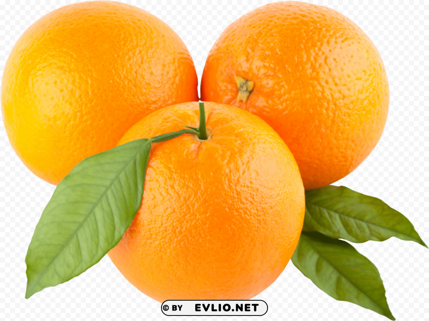 oranges PNG Isolated Illustration with Clear Background