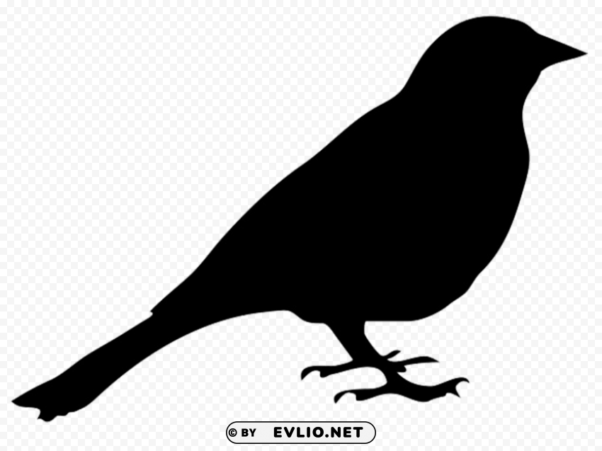 bird silhouette PNG for business use