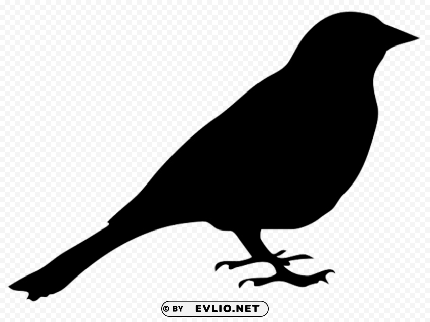 Bird Silhouette PNG For Business Use