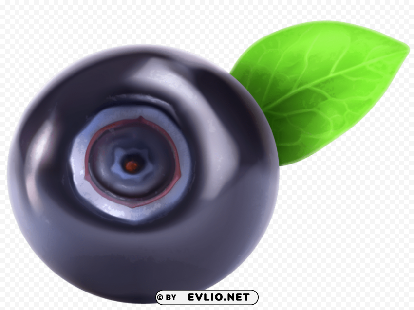 blueberry Isolated Character on Transparent Background PNG