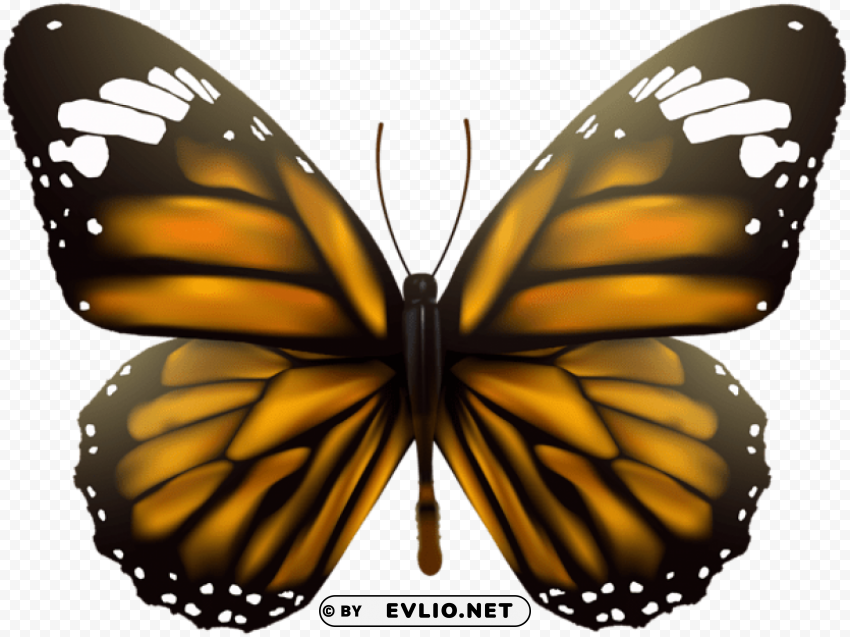 butterfly transparent PNG images with no background essential clipart png photo - 7d2f8086