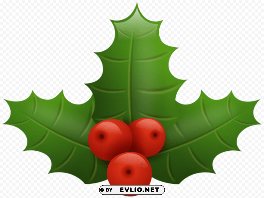 christmas holly Transparent PNG image
