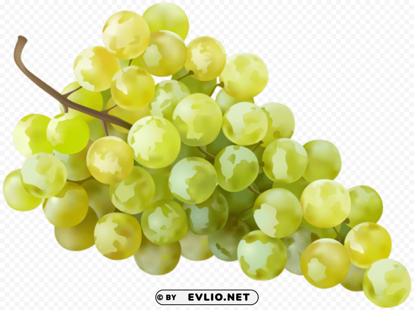 grape white transparent PNG art