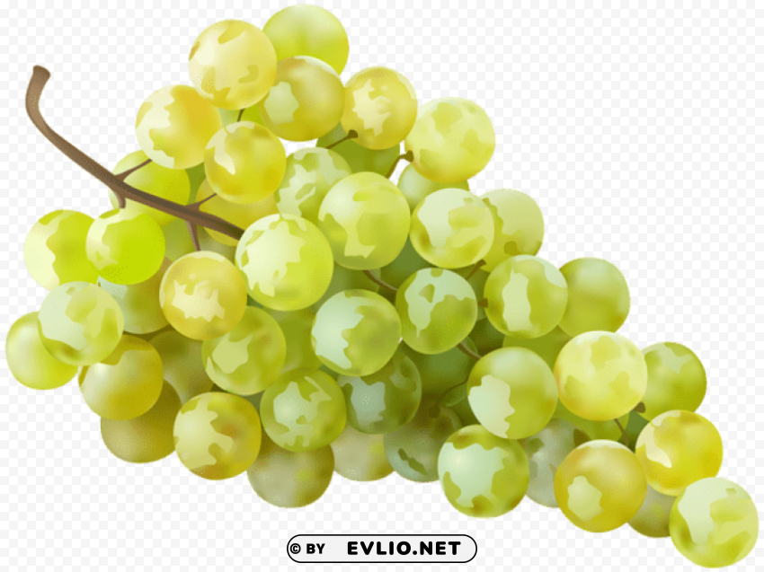 Grape White Transparent PNG Art