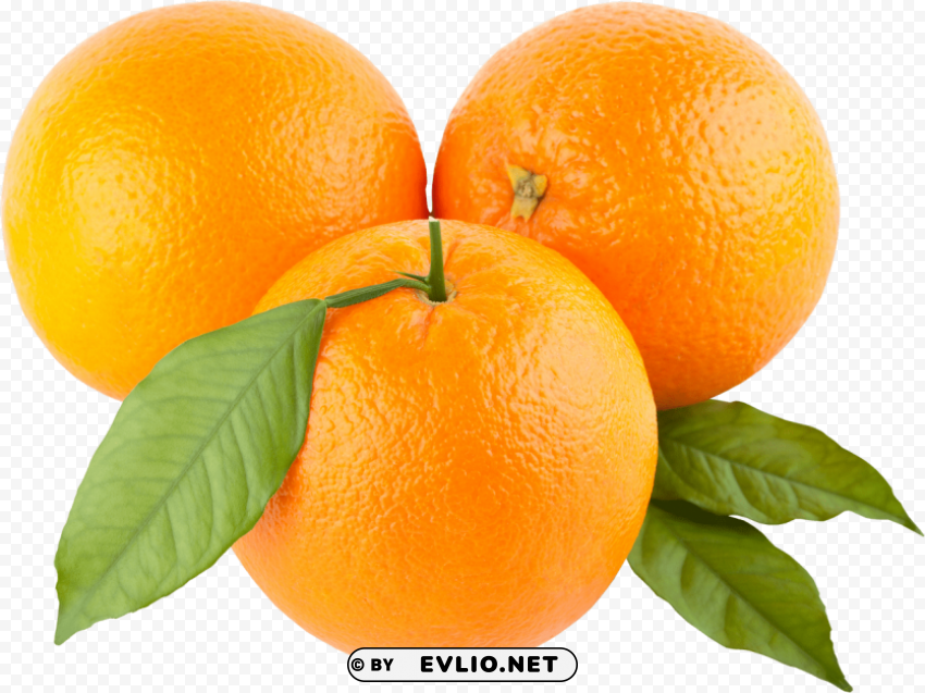 orange oranges PNG transparent images extensive collection