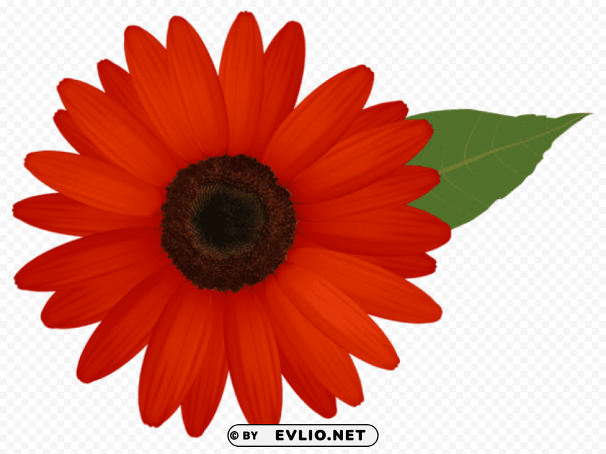 PNG image of red gerber PNG Graphic with Transparent Isolation with a clear background - Image ID 5e93b24e